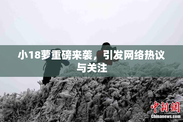 小18萝重磅来袭，引发网络热议与关注