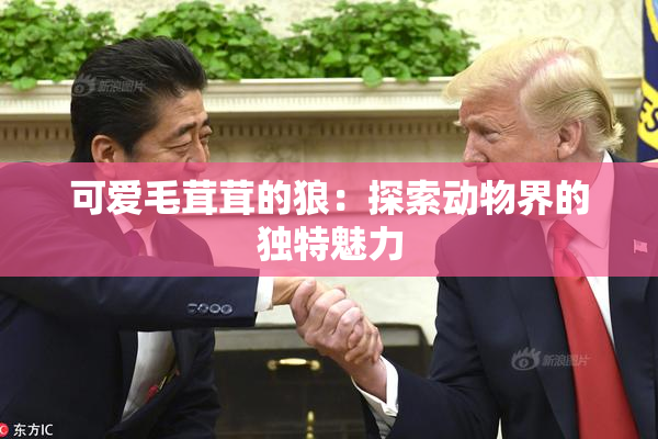 可爱毛茸茸的狼：探索动物界的独特魅力