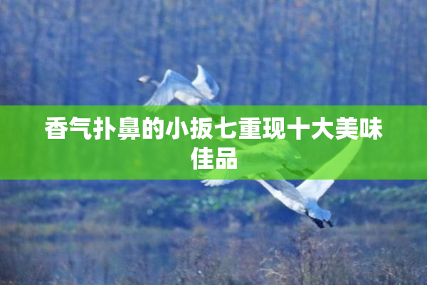 香气扑鼻的小扳七重现十大美味佳品