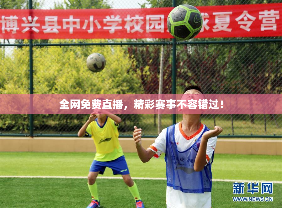 全网免费直播，精彩赛事不容错过！