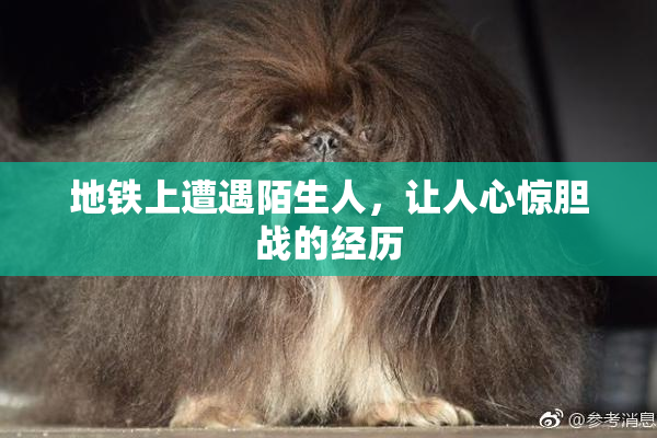 地铁上遭遇陌生人，让人心惊胆战的经历