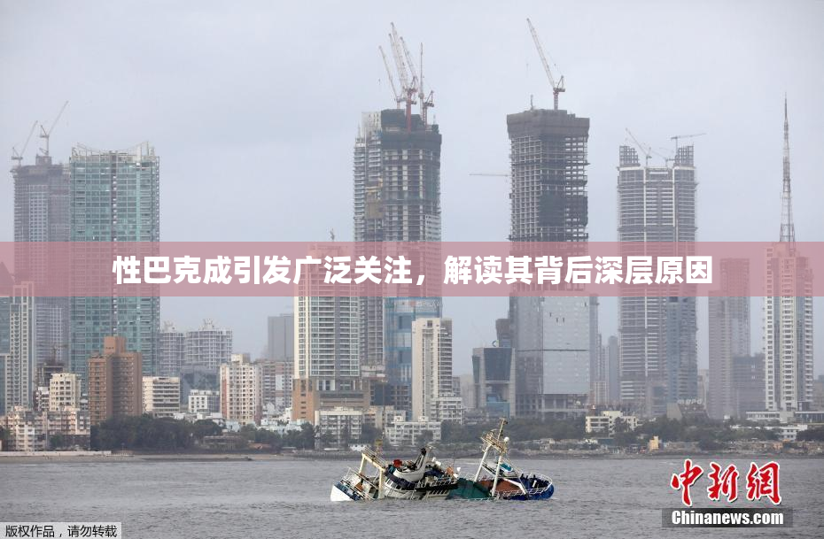性巴克成引发广泛关注，解读其背后深层原因