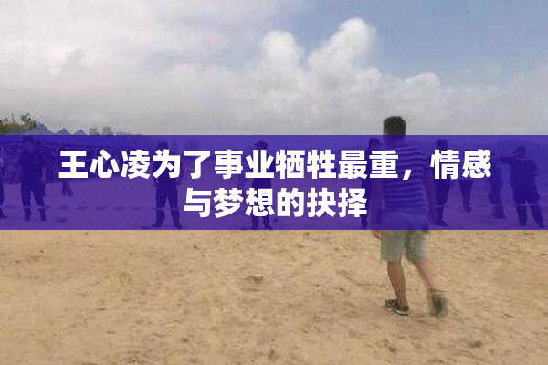 王心凌为了事业牺牲最重，情感与梦想的抉择