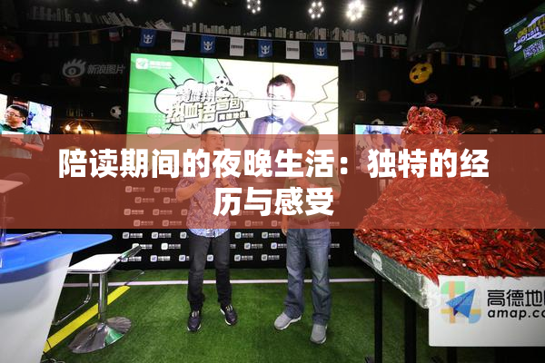 陪读期间的夜晚生活：独特的经历与感受