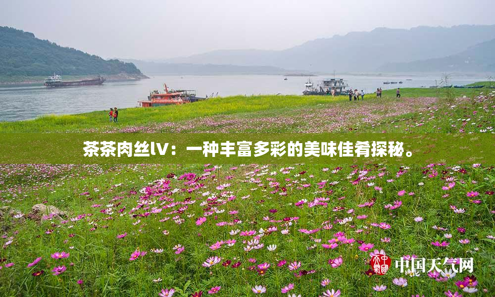 茶茶肉丝lV：一种丰富多彩的美味佳肴探秘。