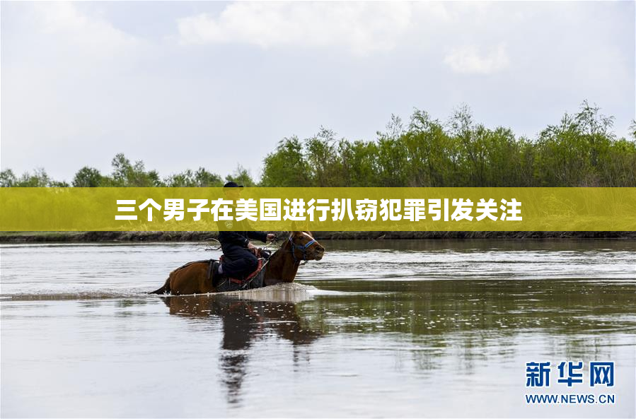 三个男子在美国进行扒窃犯罪引发关注