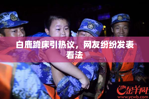 白鹿跪床引热议，网友纷纷发表看法