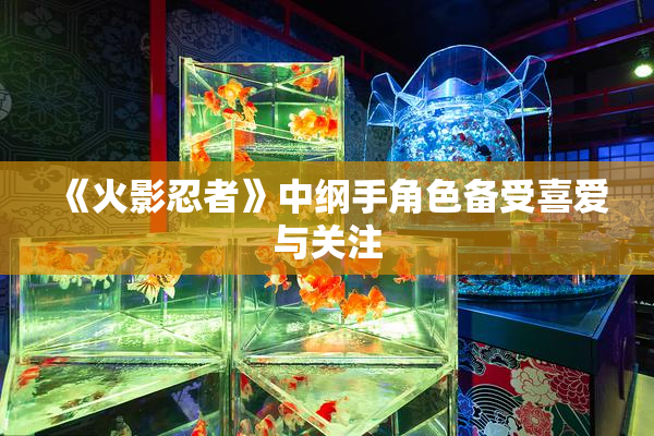 《火影忍者》中纲手角色备受喜爱与关注