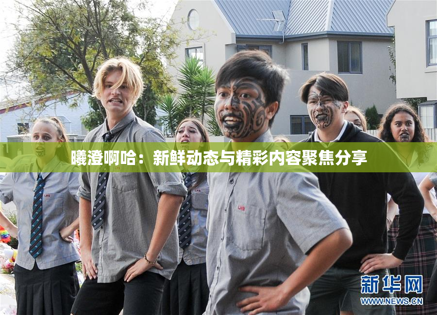 曦澄啊哈：新鲜动态与精彩内容聚焦分享