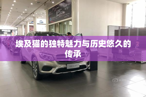 埃及猫的独特魅力与历史悠久的传承