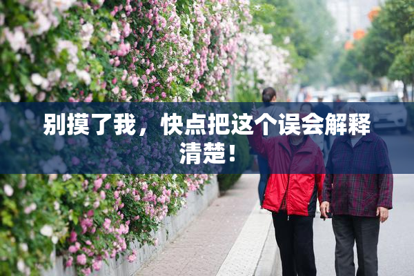 别摸了我，快点把这个误会解释清楚！