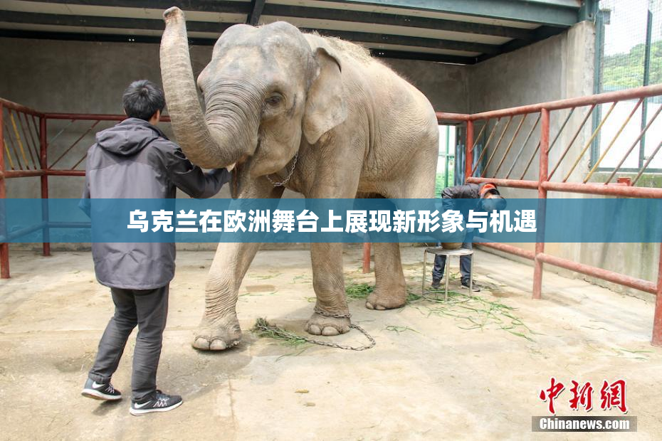 乌克兰在欧洲舞台上展现新形象与机遇