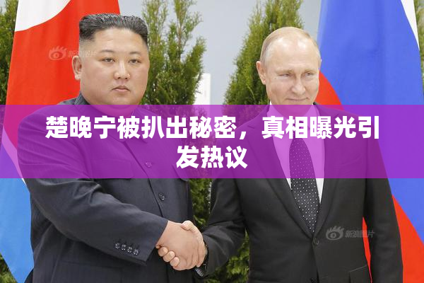 楚晚宁被扒出秘密，真相曝光引发热议