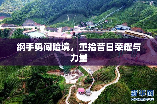 纲手勇闯险境，重拾昔日荣耀与力量