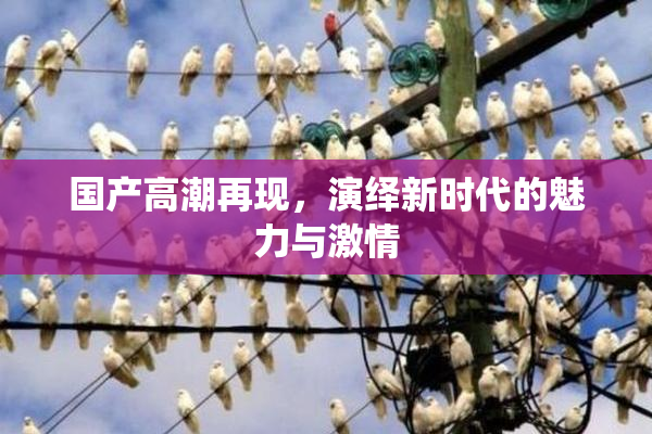 国产高潮再现，演绎新时代的魅力与激情