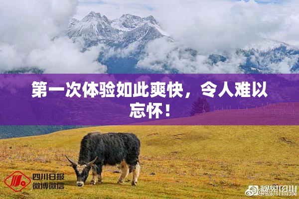 第一次体验如此爽快，令人难以忘怀！