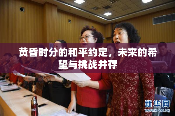 黄昏时分的和平约定，未来的希望与挑战并存
