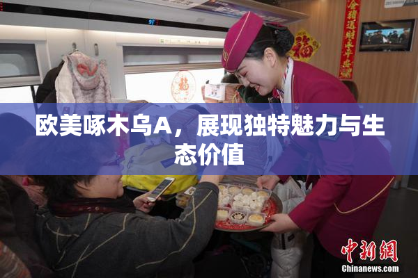 欧美啄木乌A，展现独特魅力与生态价值
