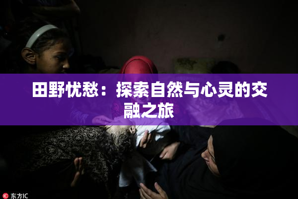 田野忧愁：探索自然与心灵的交融之旅