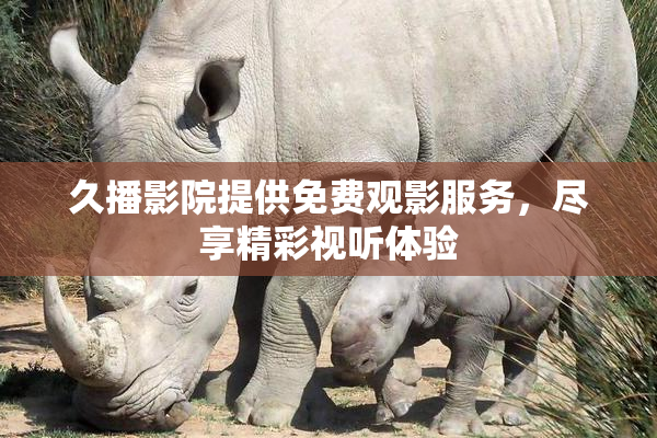 久播影院提供免费观影服务，尽享精彩视听体验