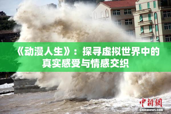 《动漫人生》：探寻虚拟世界中的真实感受与情感交织