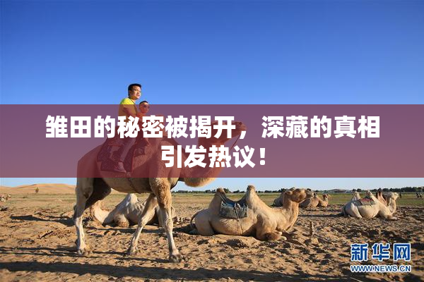 雏田的秘密被揭开，深藏的真相引发热议！
