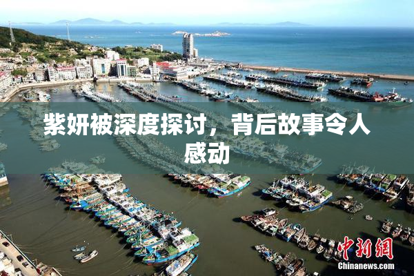 紫妍被深度探讨，背后故事令人感动
