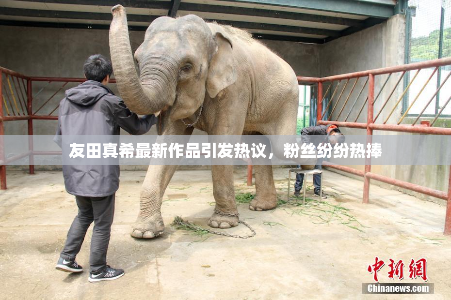 友田真希最新作品引发热议，粉丝纷纷热捧