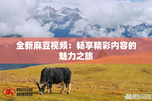 全新麻豆视频：畅享精彩内容的魅力之旅