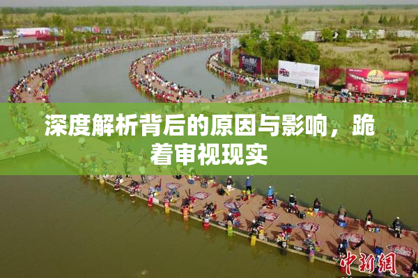 深度解析背后的原因与影响，跪着审视现实