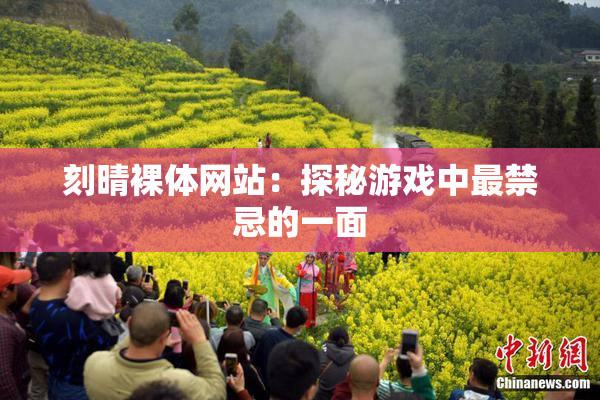 刻晴裸体网站：探秘游戏中最禁忌的一面