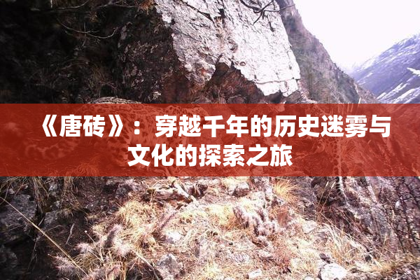 《唐砖》：穿越千年的历史迷雾与文化的探索之旅