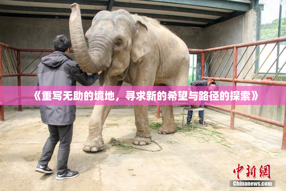 《重写无助的境地，寻求新的希望与路径的探索》