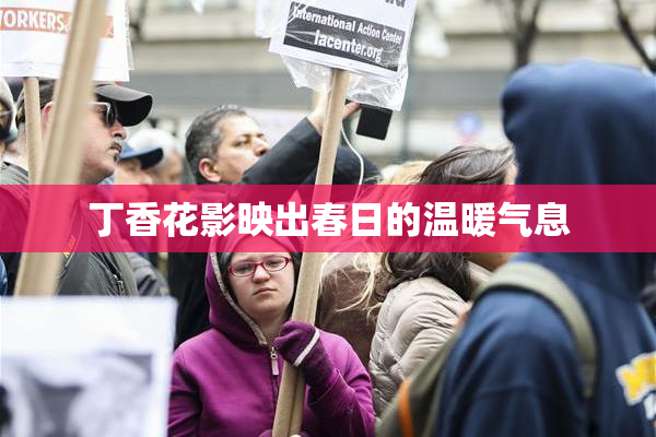 丁香花影映出春日的温暖气息