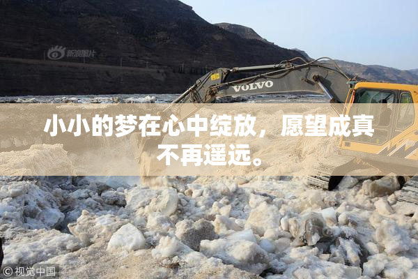小小的梦在心中绽放，愿望成真不再遥远。