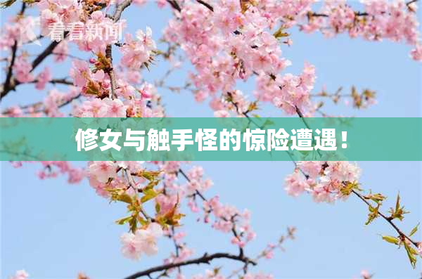 修女与触手怪的惊险遭遇！