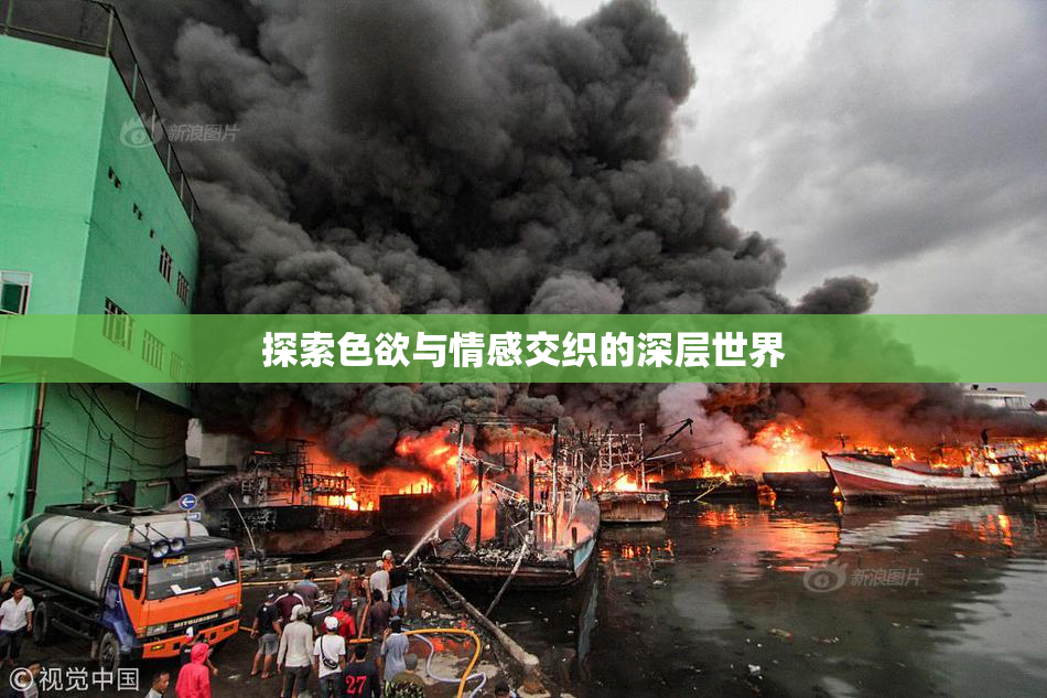 探索色欲与情感交织的深层世界