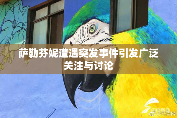 萨勒芬妮遭遇突发事件引发广泛关注与讨论
