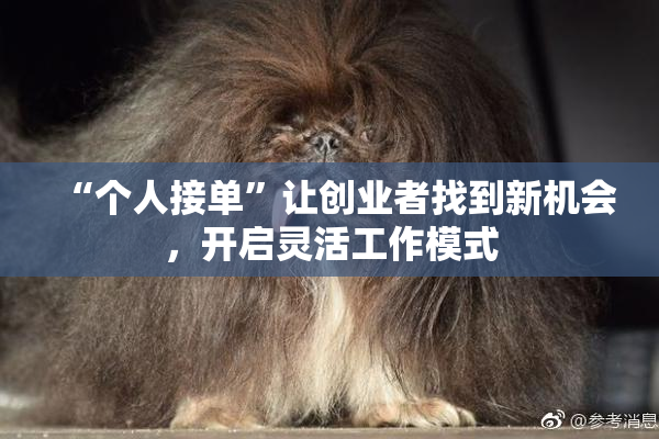 “个人接单”让创业者找到新机会，开启灵活工作模式