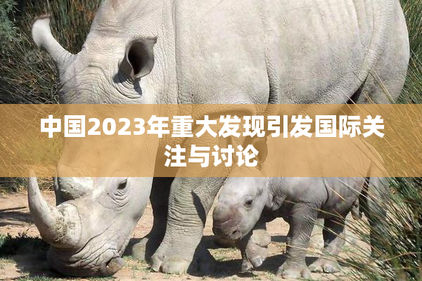 中国2023年重大发现引发国际关注与讨论