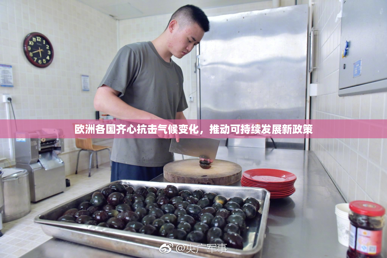 欧洲各国齐心抗击气候变化，推动可持续发展新政策