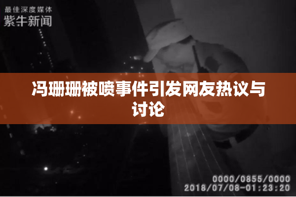 冯珊珊被喷事件引发网友热议与讨论