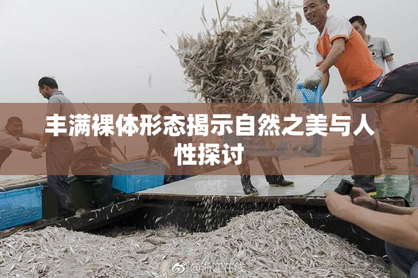 丰满裸体形态揭示自然之美与人性探讨