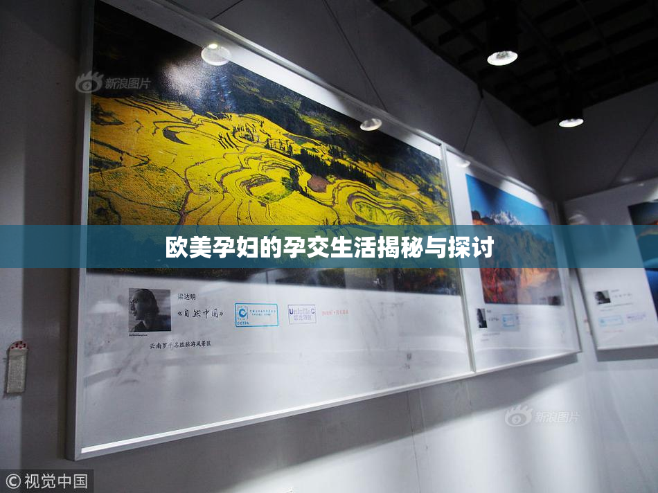 欧美孕妇的孕交生活揭秘与探讨