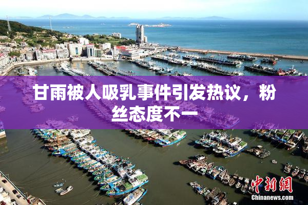 甘雨被人吸乳事件引发热议，粉丝态度不一