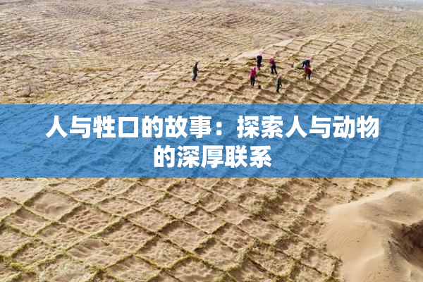 人与牲口的故事：探索人与动物的深厚联系