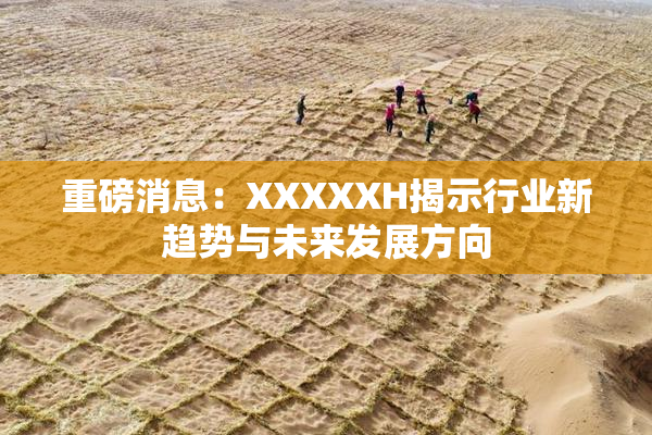 重磅消息：XXXXXH揭示行业新趋势与未来发展方向