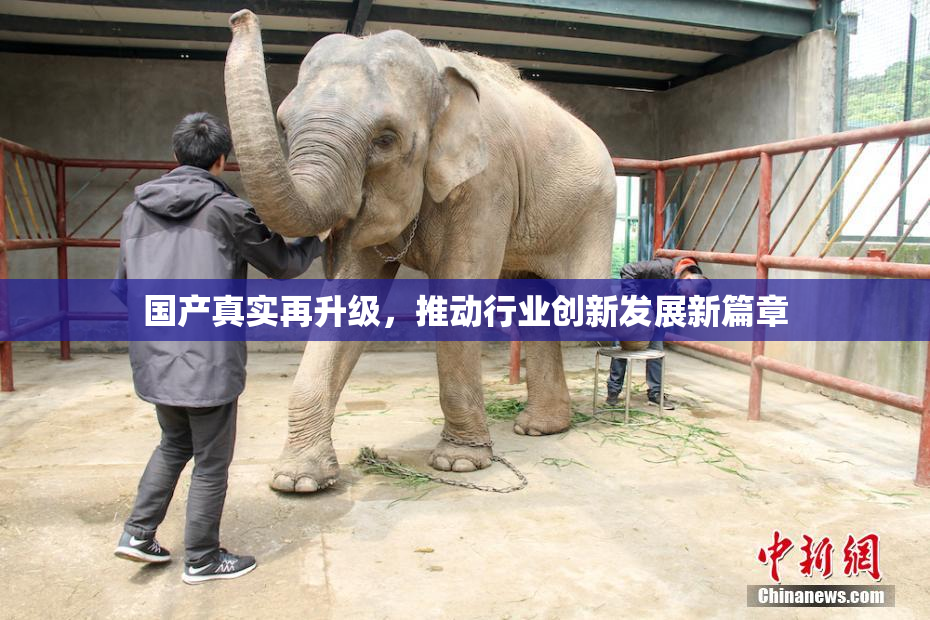 国产真实再升级，推动行业创新发展新篇章