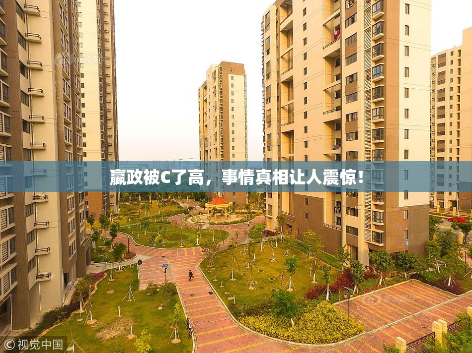 嬴政被C了高，事情真相让人震惊！