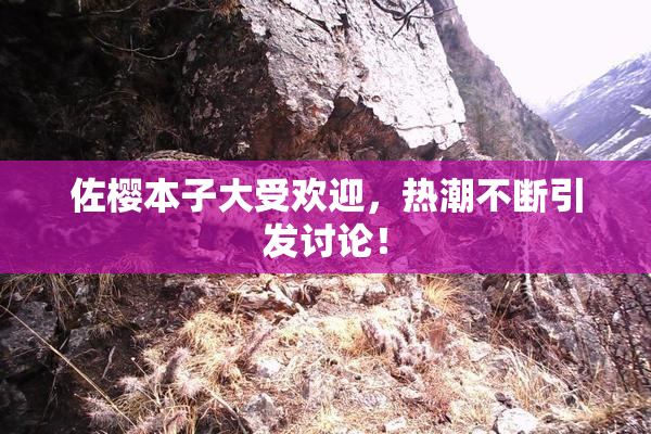佐樱本子大受欢迎，热潮不断引发讨论！